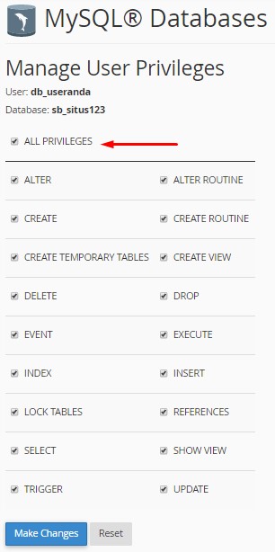 select all privileges