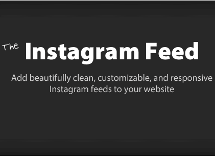 28. plugin social media wordpress terbaik instagram