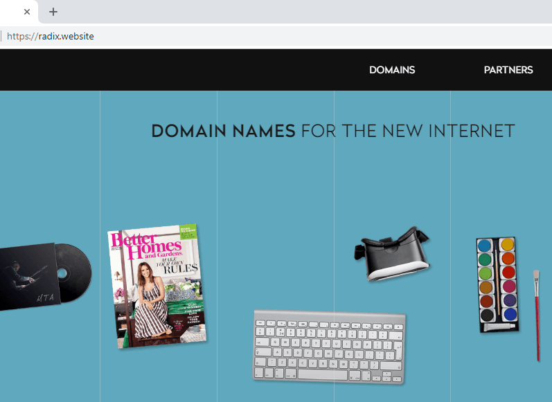 domain unik website radix