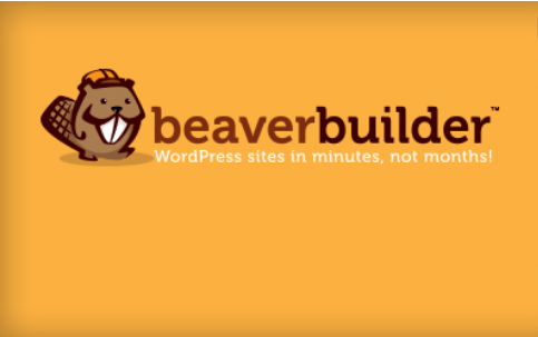 plugin bisnis beaver builder