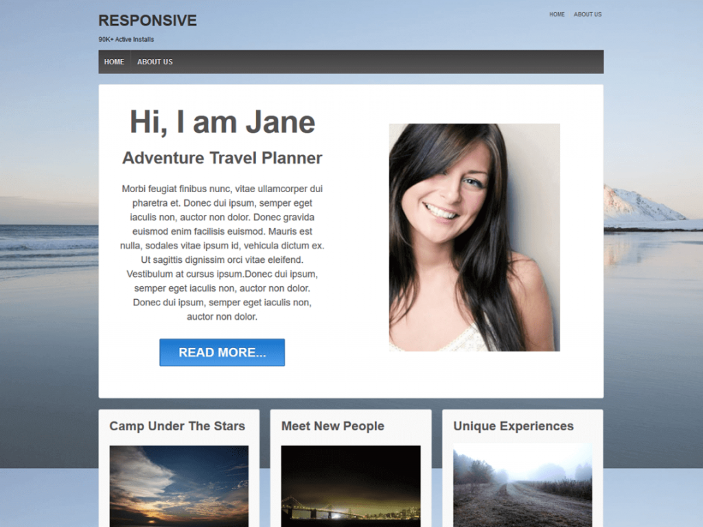 theme WordPress responsive