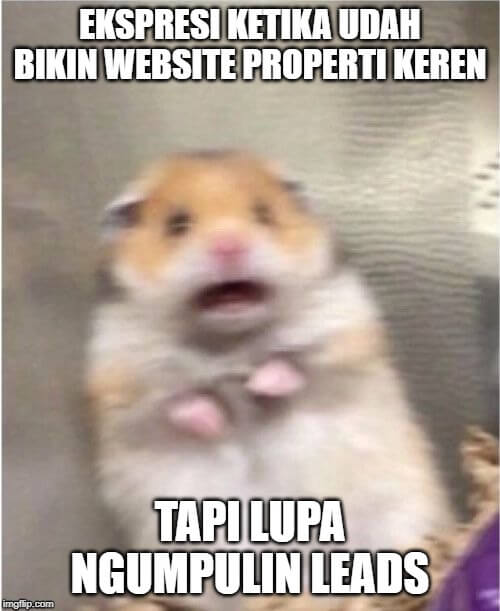 meme promosi properti