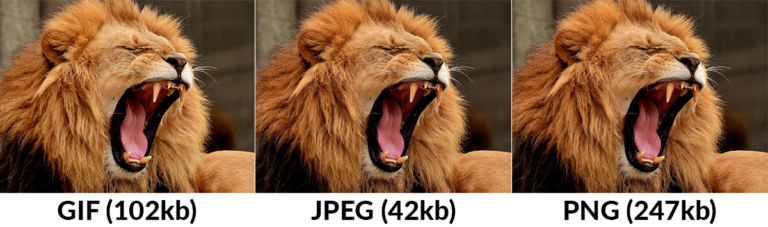 perbedaan kualitas GIF JPEG PNG