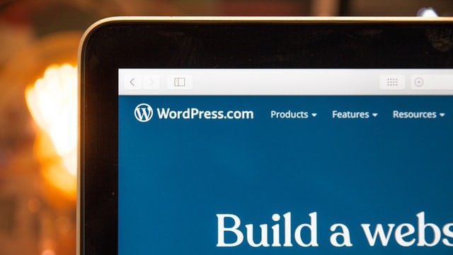 WordPress developer memiliki beberapa tugas utama seperti coding.