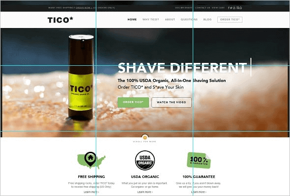Website Layout Tico