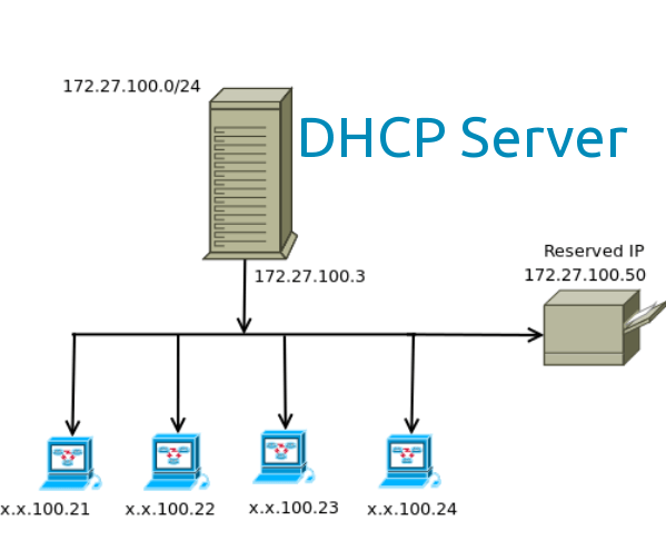 Perbedaan DHCP Server dan DHCP Client