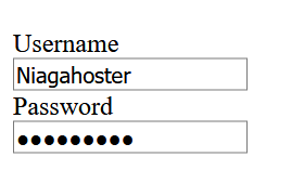 Membuat Input Type Username dan Password